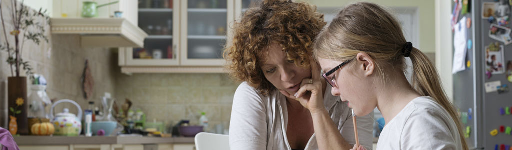 Verify Vetting - Background Checks